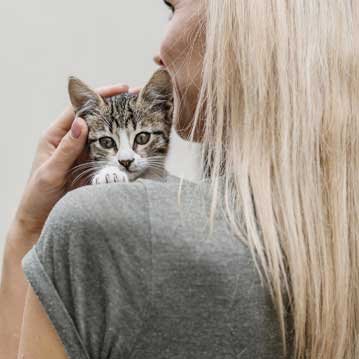 Diseño de sitio web personalizado en España